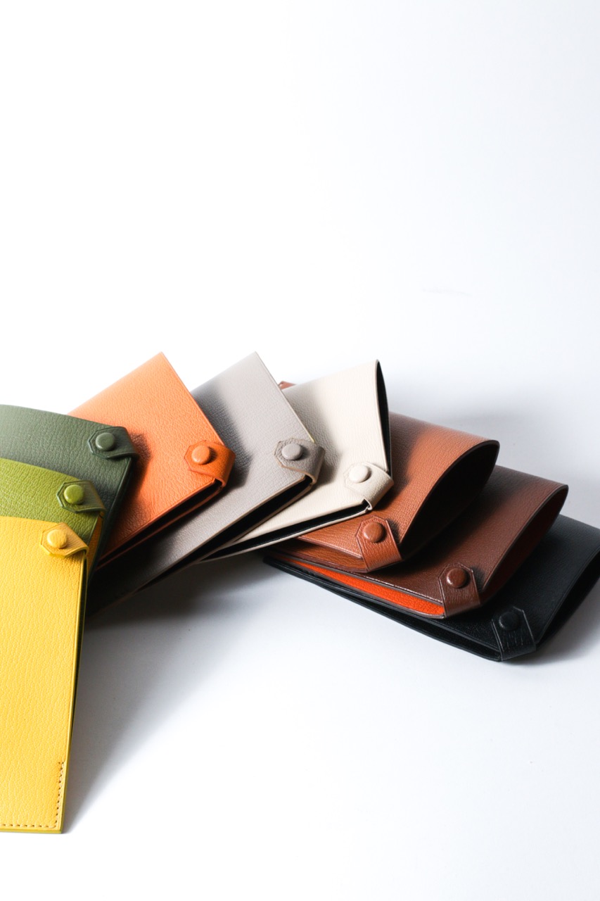 Passport Holder Collection